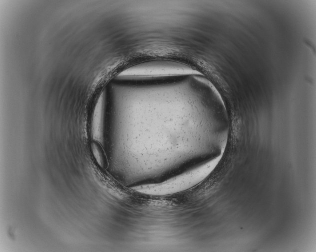 X0000100780399200807101821