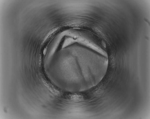 X0000100780400200807101821