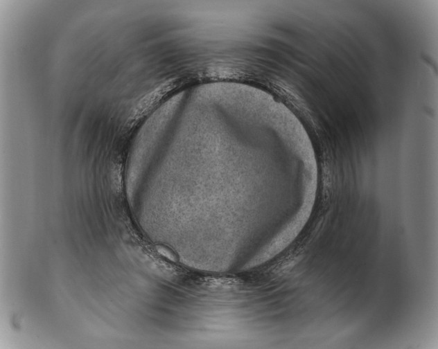 X0000100780401200807101821