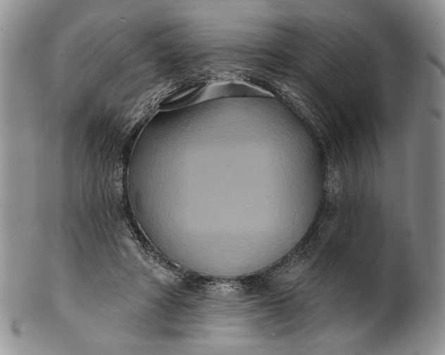 X0000100780402200807101821