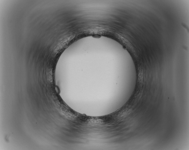 X0000100780403200807101821