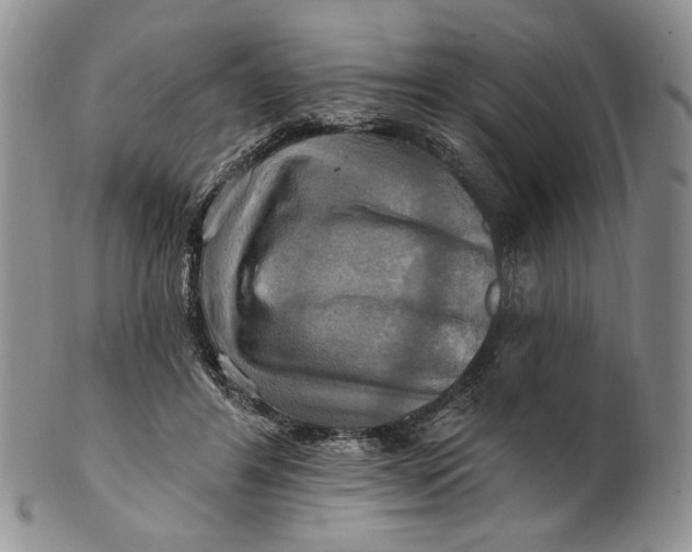 X0000100780404200807101821