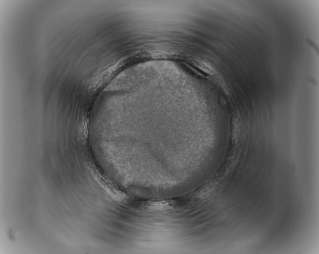 X0000100780405200807101821