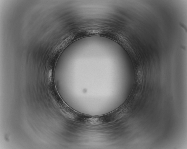 X0000100780406200807101821