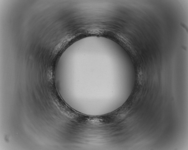 X0000100780407200807101821