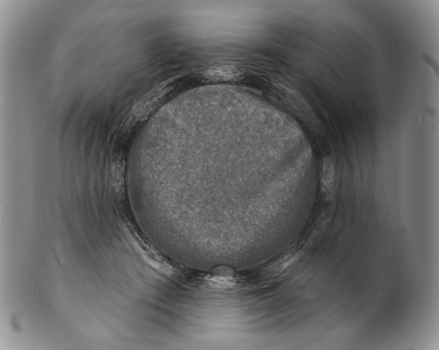 X0000100780409200807101821