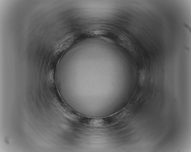 X0000100780410200807101821