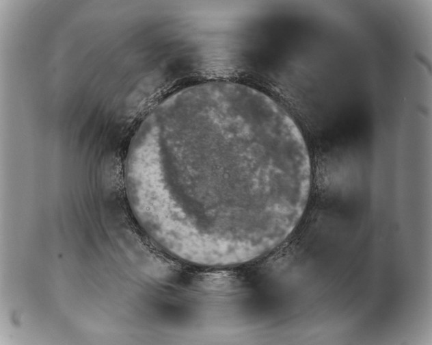 X0000100780411200807101821