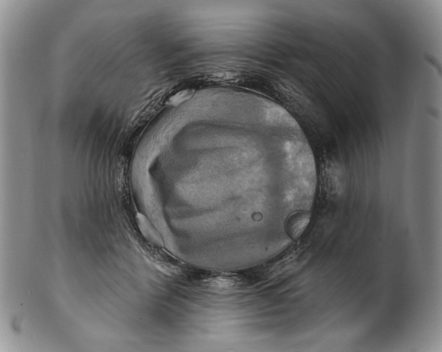 X0000100780412200807101821