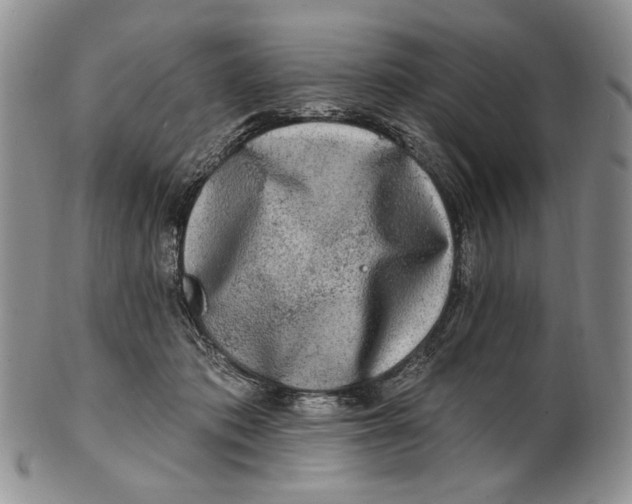 X0000100780413200807101821