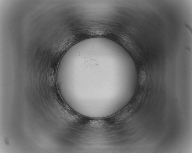 X0000100780414200807101821