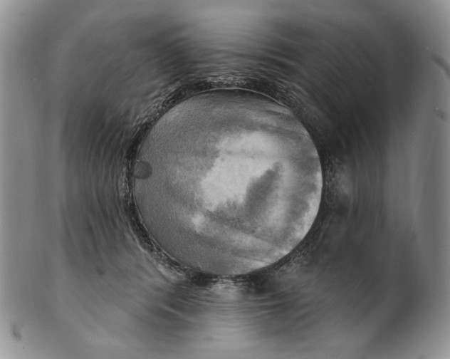 X0000100780416200807101821