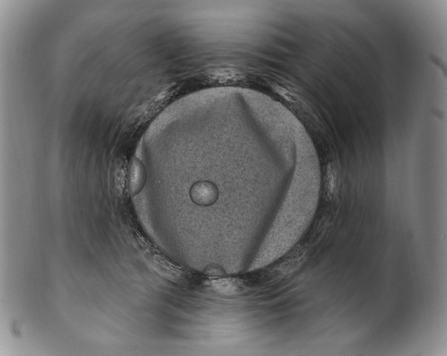 X0000100780417200807101821