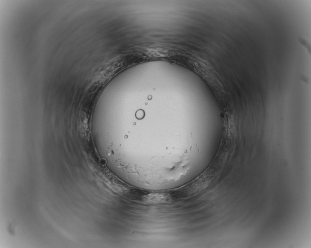 X0000100780418200807101821