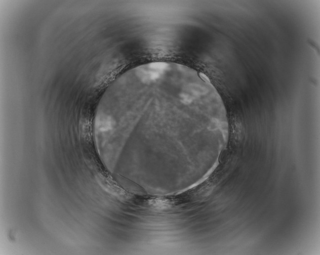 X0000100780419200807101821