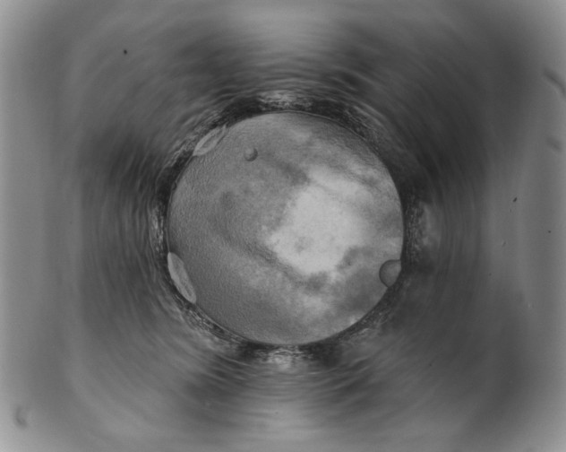 X0000100780420200807101821