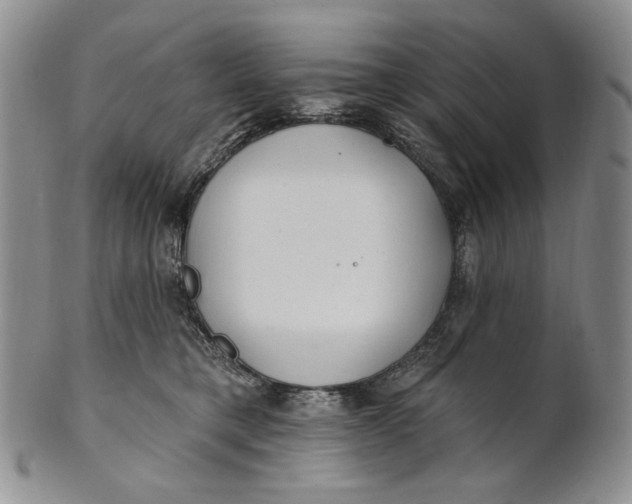 X0000100780421200807101821