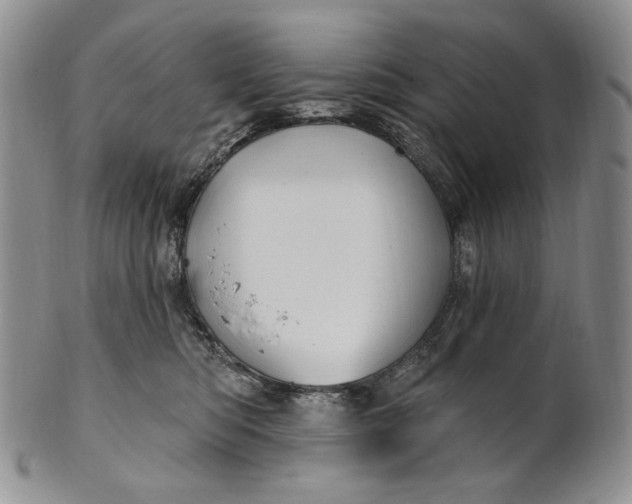 X0000100780422200807101821