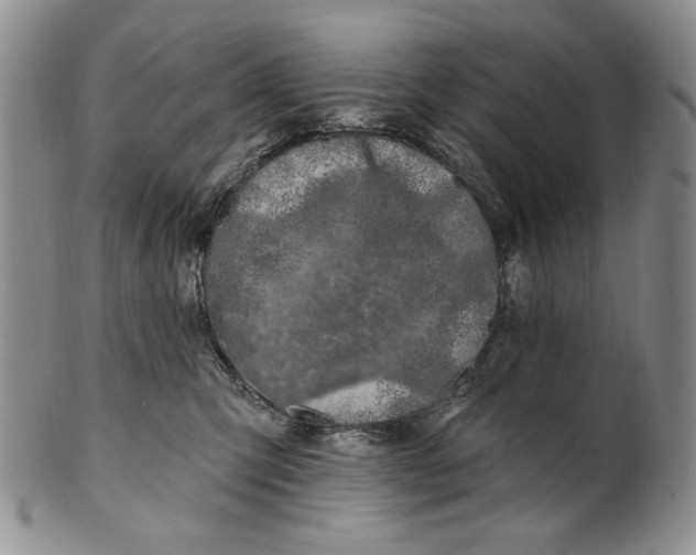 X0000100780423200807101821