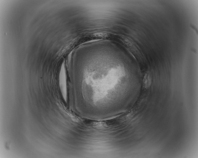 X0000100780424200807101821