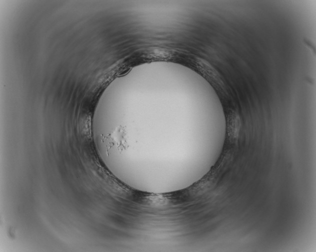 X0000100780425200807101821