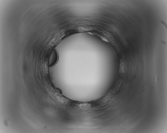 X0000100780426200807101821