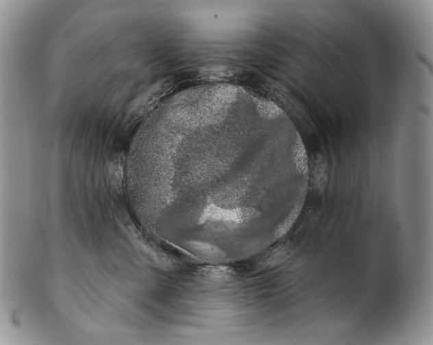 X0000100780427200807101821