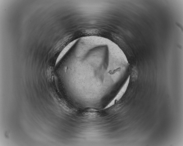 X0000100780428200807101821