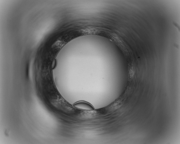 X0000100780429200807101821