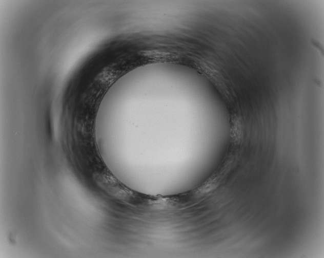 X0000100780430200807101821