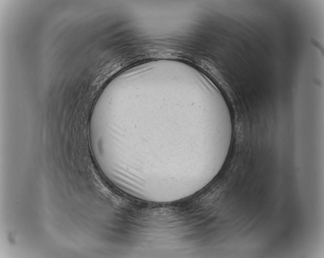 X0000100780433200807101820