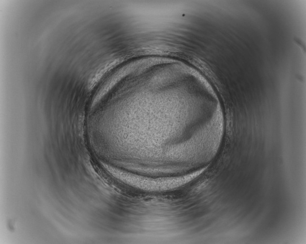 X0000100780434200807101820