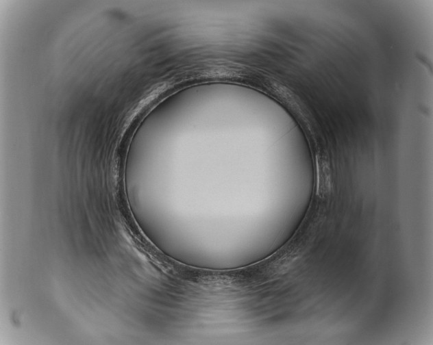 X0000100780435200807101820