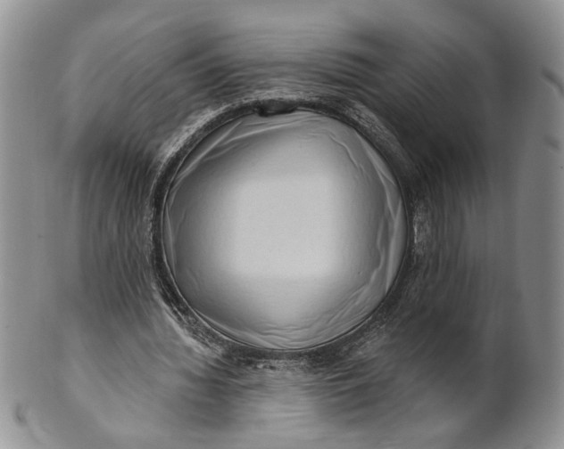 X0000100780436200807101820