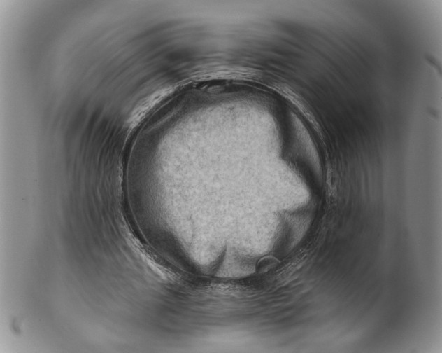 X0000100780437200807101820