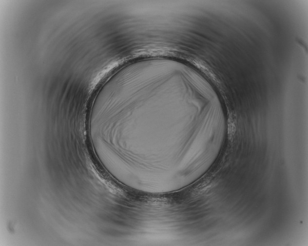 X0000100780438200807101820