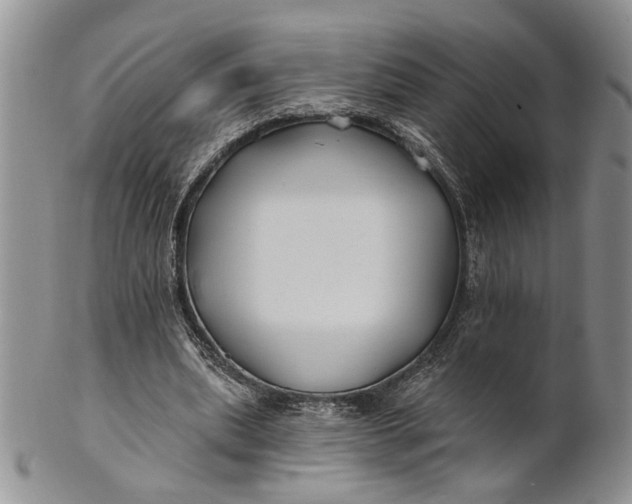 X0000100780439200807101820