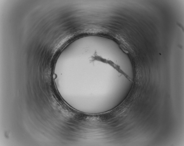 X0000100780440200807101820