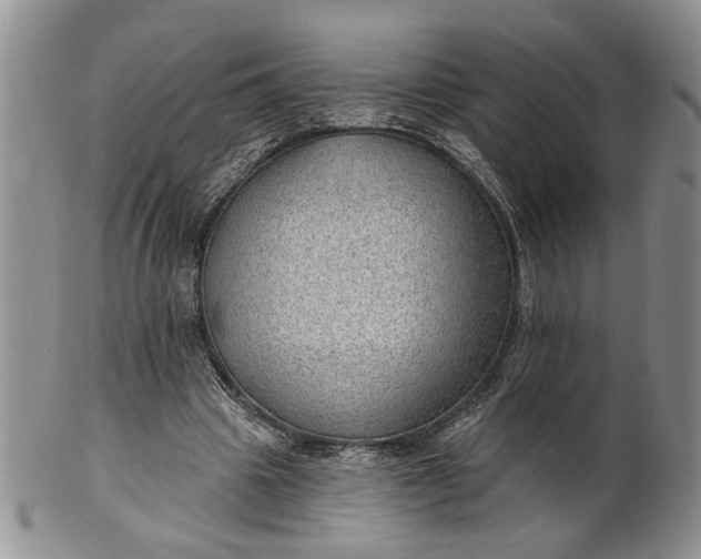 X0000100780441200807101820