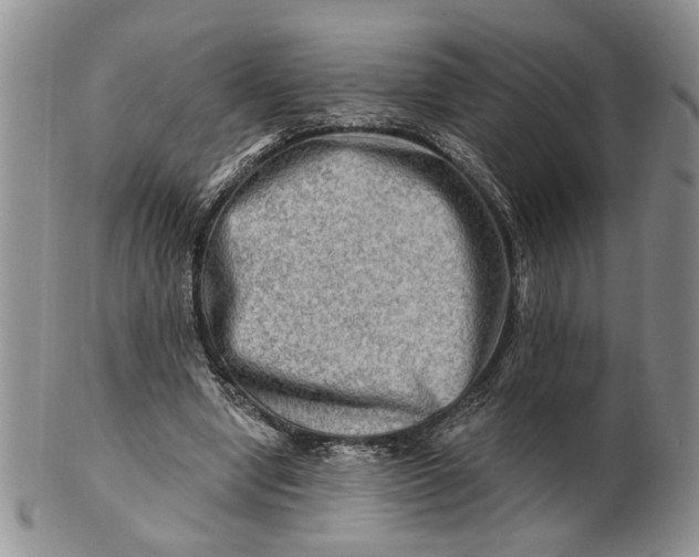 X0000100780442200807101820