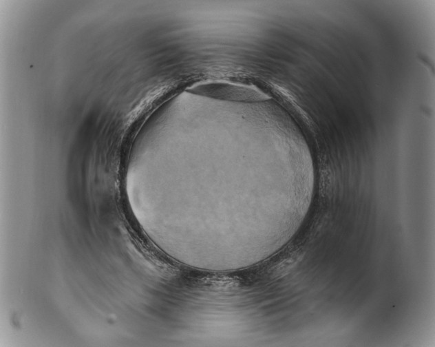 X0000100780443200807101820