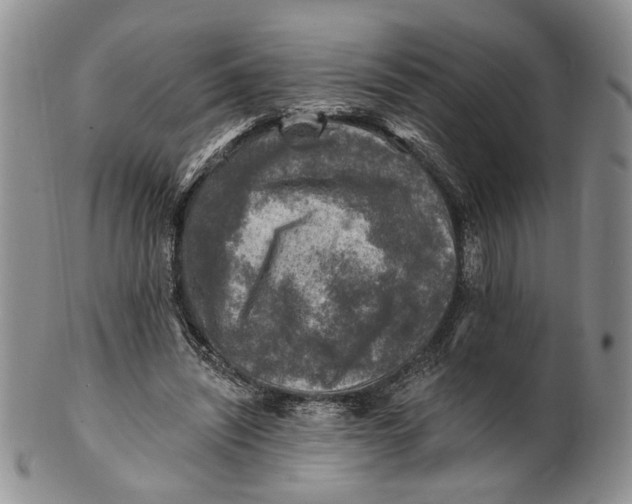 X0000100780444200807101820