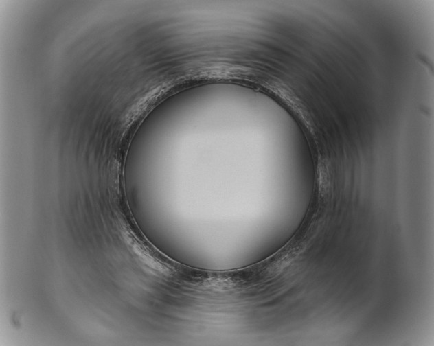 X0000100780445200807101820