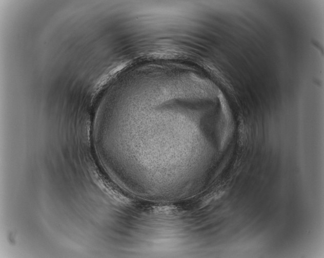 X0000100780446200807101820