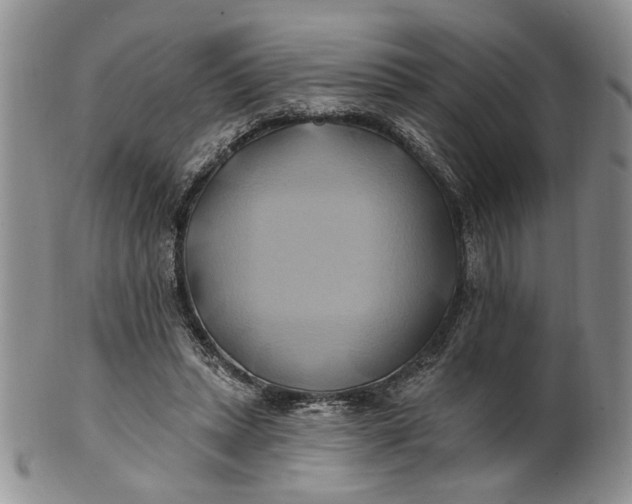 X0000100780447200807101820