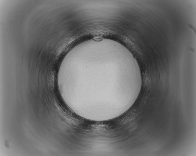 X0000100780448200807101820