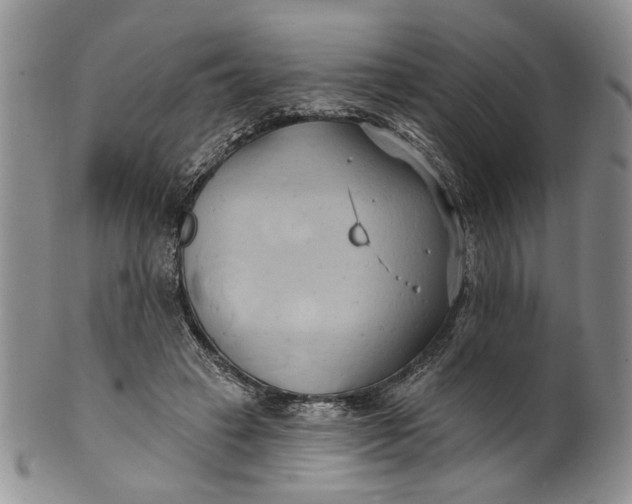 X0000100780449200807101820