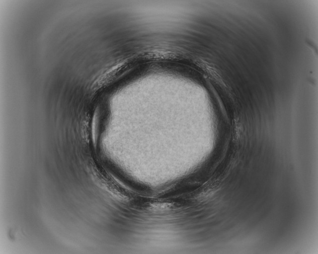 X0000100780450200807101820