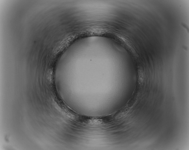 X0000100780451200807101820