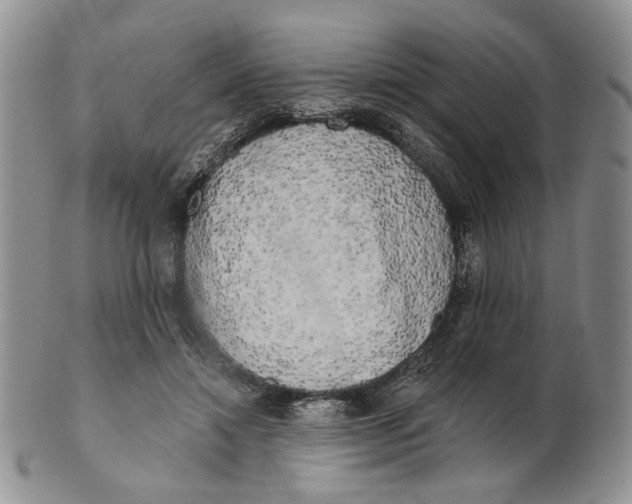 X0000100780452200807101820